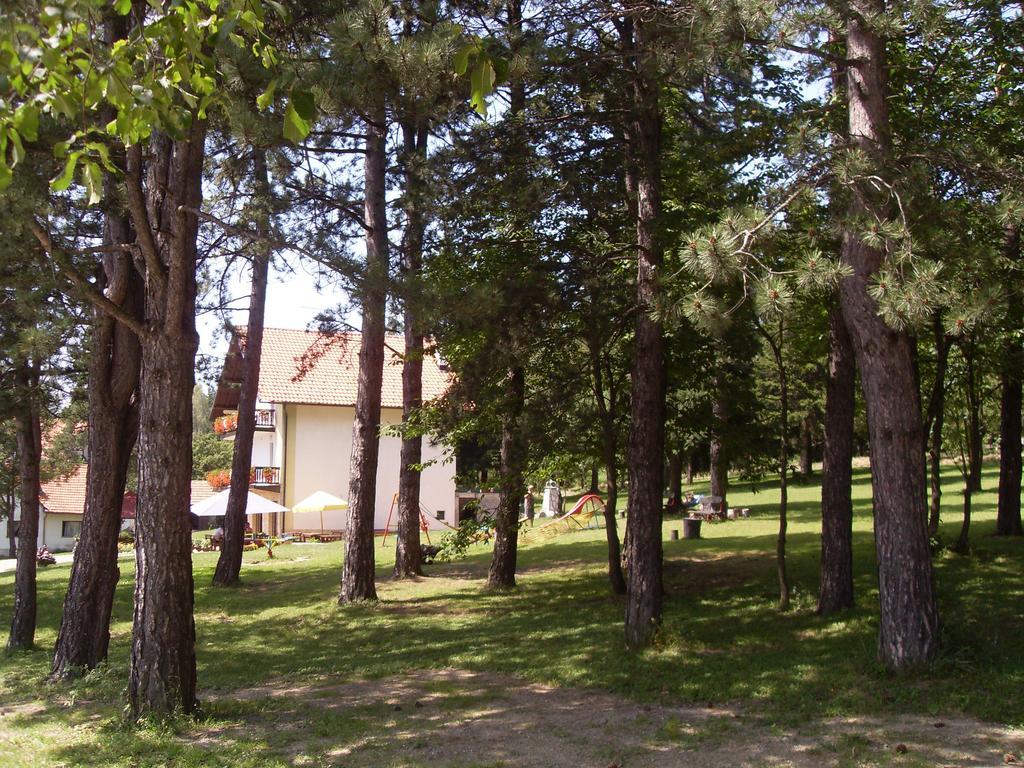 Guest House Colovic ズラティボール エクステリア 写真